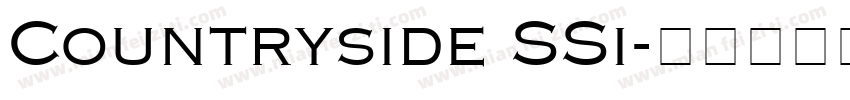 Countryside SSi字体转换